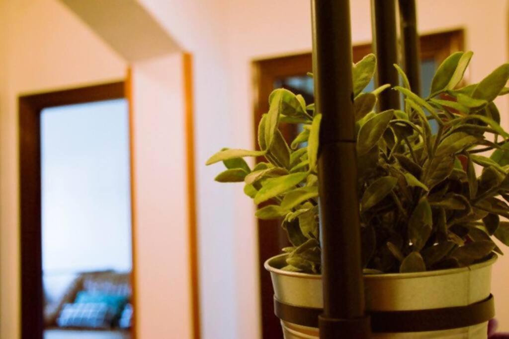 Conide, El Mirador Apartment Oviedo Phòng bức ảnh